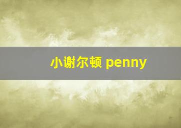 小谢尔顿 penny